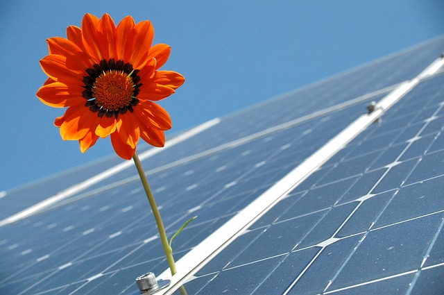 solar-mit-blume